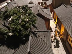 -浙江省博物馆(孤山馆区)
