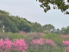 -花博汇(知音花月夜)
