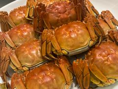 -金龙渔港(双楠店)