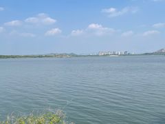 -南湖国家城市湿地公园