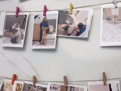 -瑞派康怡24h宠物医院·犬猫医疗中心·微创绝育(瑞景分院)
