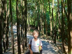 -火炉山森林公园