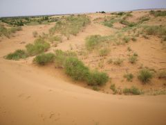 -银肯塔拉沙漠生态旅游景区