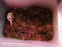 -三旗百汇商品城