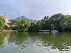 -北京中信金陵酒店