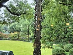 -申粤轩酒楼·三十年粤菜经典(丁香花园店)