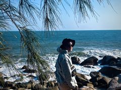 -广东惠东海龟国家级自然保护区
