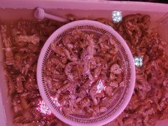 -韩家墅海吉星农产品批发市场
