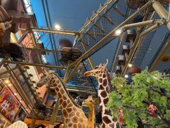 -卡通尼·Safari非洲探索乐园·生日会(金桥国际商业广场店)