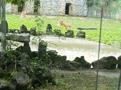 -黔灵山公园