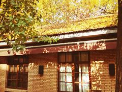 -西安电影制片厂