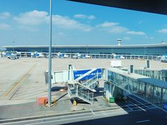-郑州新郑国际机场-T2航站楼