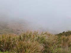 -嵛山岛