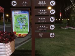 -荷兰花海