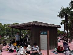 -苏州太湖西山岛开心农场
