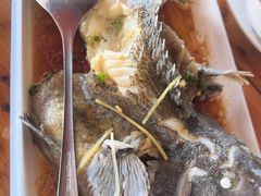 -蓝湾碧波·老字号·疍家非遗海上餐厅