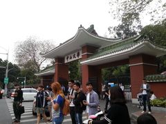 -中山大学学者灵芝(园南路店)