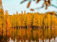 -白鹭湾湿地公园