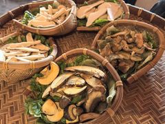 -滇野云南野生菌餐厅(陕西南路店)