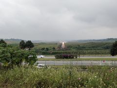 -空港花田景区