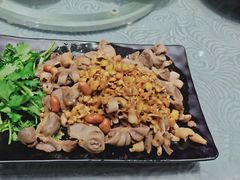 沙姜捞生肠鸡杂-粤·向群饭店(龙津东路总店)