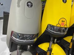 -九号电动车(安定门内大街店)