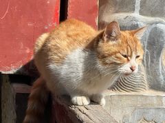 -终南山南五台景区