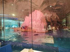 -帝企鹅自助餐厅•儿童岛•真企鹅(长隆企鹅酒店)