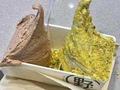 -野人先生现做冰淇淋(西安赛格店)