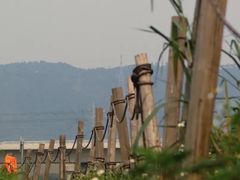-光明小镇欢乐田园