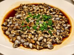 -华盛丰温州大排档(东三环南路店)