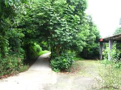 -三圣花乡旅游区