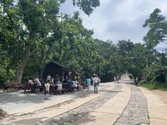 -紫金山山顶公园