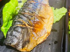 烤青花鱼-炙韩料理·部队锅专门店