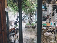 -喵屿·大理花园猫咖