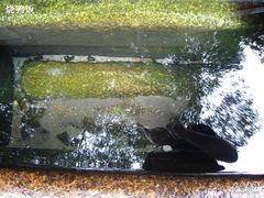 -白沙古井