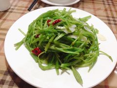 炒海菜-苍洱春饭店