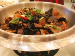 甲鱼-芜湖白金汉爵大酒店