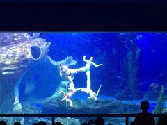 -多彩贵州城极地海洋世界