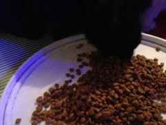 iphone_upload_pic-Sirena海妖日咖夜酒