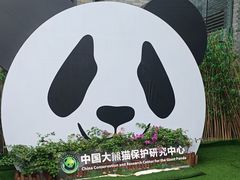-都江堰中华大熊猫苑