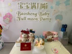 -宝生月子中心·独栋独院式(南山店)