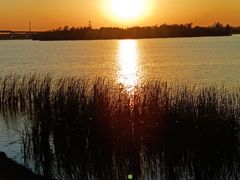 -丁香湖公园