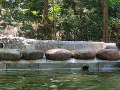 -花水湾第一村温泉大酒店
