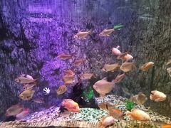 -多彩贵州城极地海洋世界