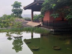 -西双版纳洲际度假酒店-海鲜傣味烧烤·侬香全日制餐厅