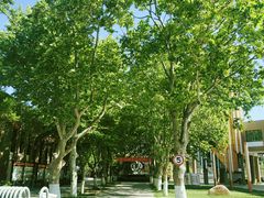 -山东省青岛第二中学(江西路分校)