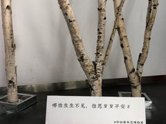 -成都失恋馆