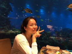 -海棠湾洲际-涛·海底餐厅·美人鱼·自助餐·海底隧道