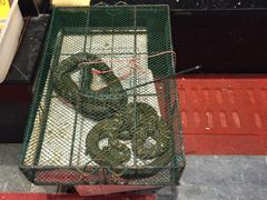 -苏浙徽·农家大院(开发区星湖101店)